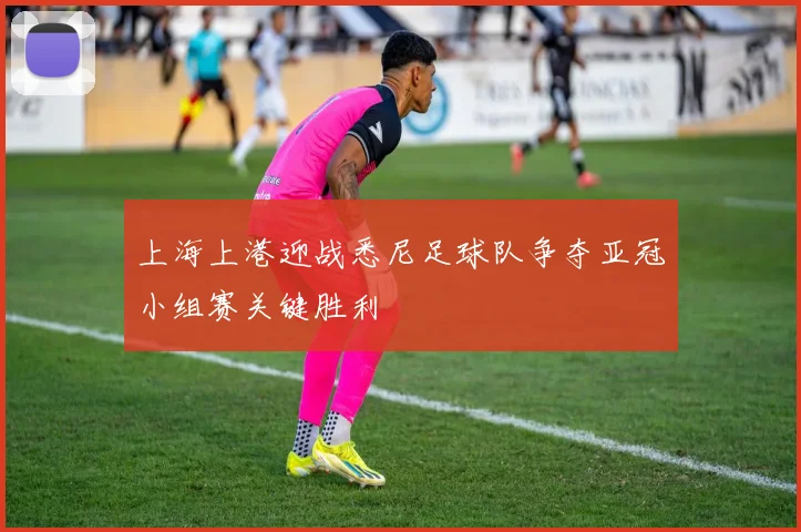 上海上港迎战悉尼足球队争夺亚冠小组赛关键胜利