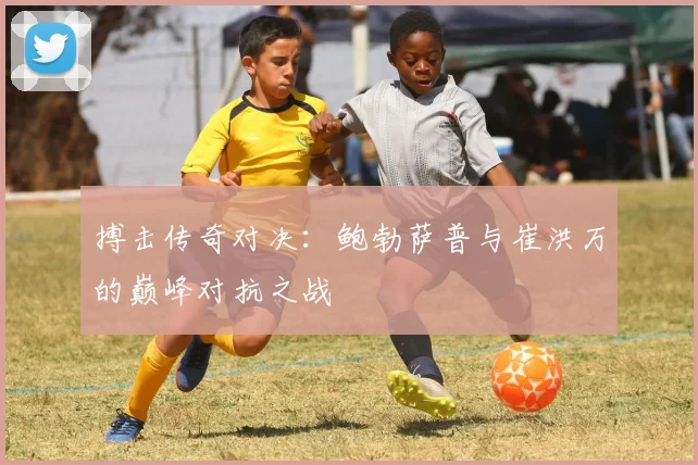 搏击传奇对决：鲍勃萨普与崔洪万的巅峰对抗之战