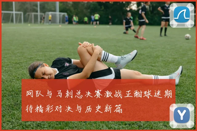 网队与马刺总决赛激战正酣球迷期待精彩对决与历史新篇