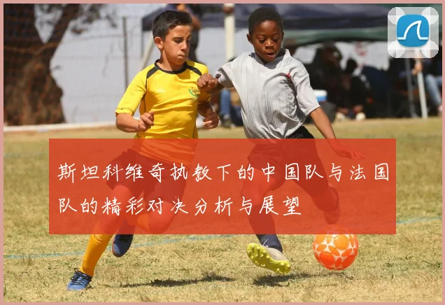 斯坦科维奇执教下的中国队与法国队的精彩对决分析与展望