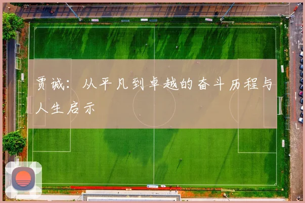 贾诚：从平凡到卓越的奋斗历程与人生启示